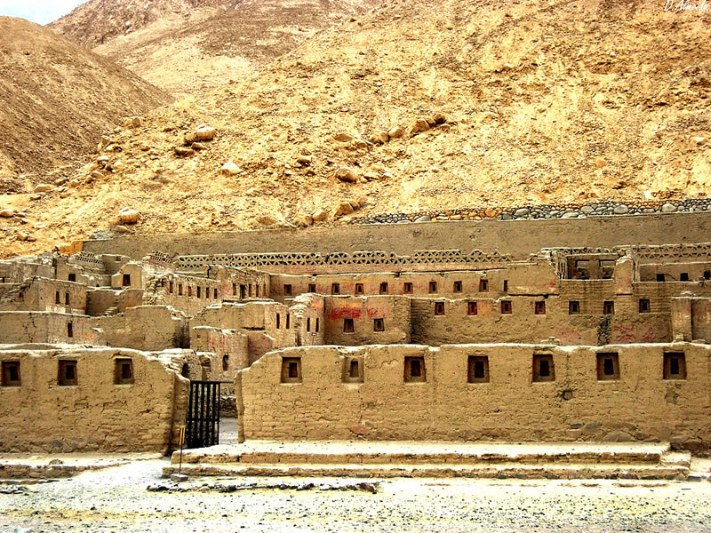 Tours Pisco - Paracas