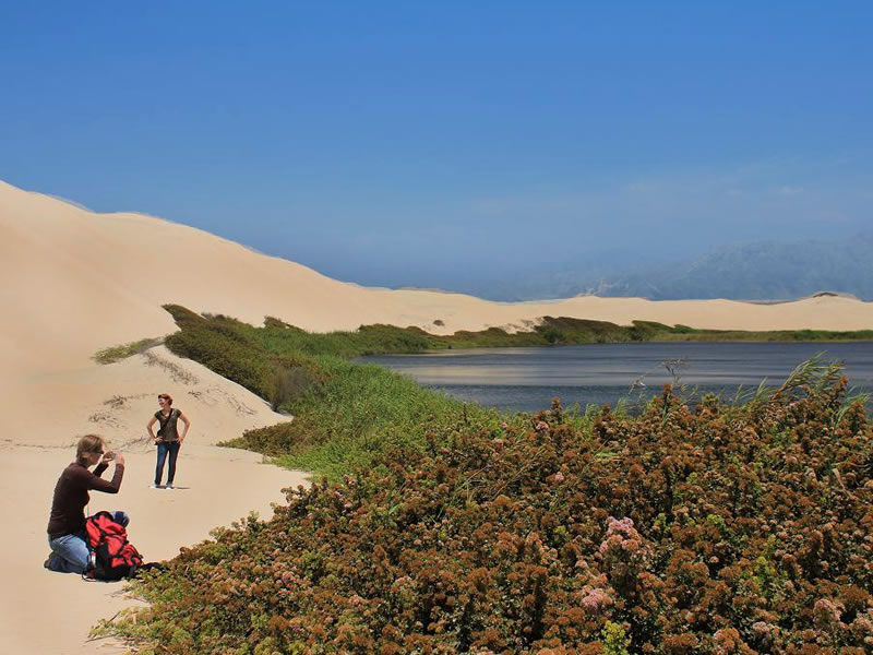 Tours Pisco - Paracas