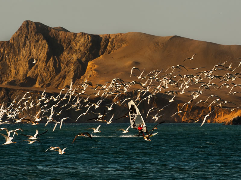 Tours Pisco - Paracas