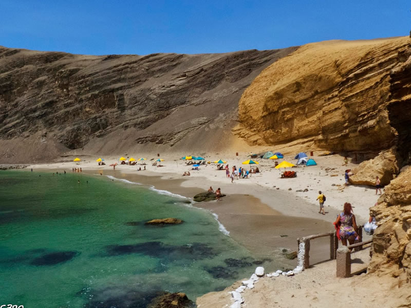 Tours Pisco - Paracas