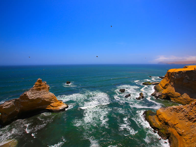 Tours Pisco - Paracas